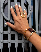 Hand with gold ring and bracelet on a metal gate